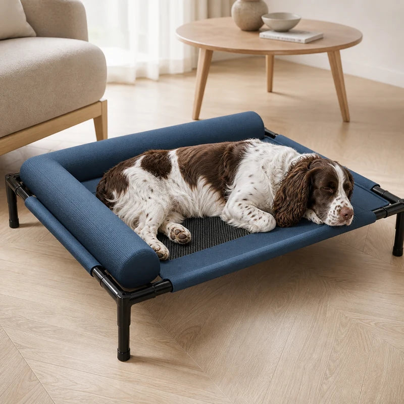 Lit surélevé pour chien dans un intérieur lumineux | KALMO