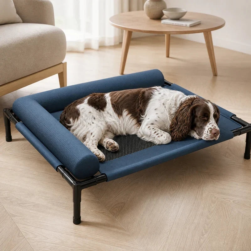 Lit surélevé chien installé dans un intérieur lumineux