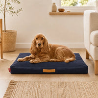 Cocker couché sur un tapis Oxford bleu marine pour chien | KALMO