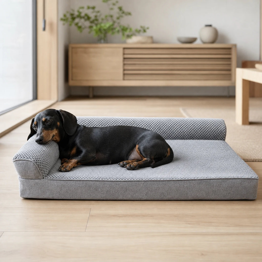 Teckel confortablement couché dans un canapé gaufré gris clair pour chien | KALMO