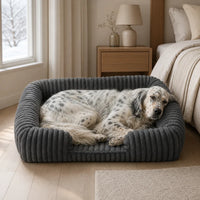 Setter Anglais couché dans un panier hiver gris foncé pour chien | KALMO