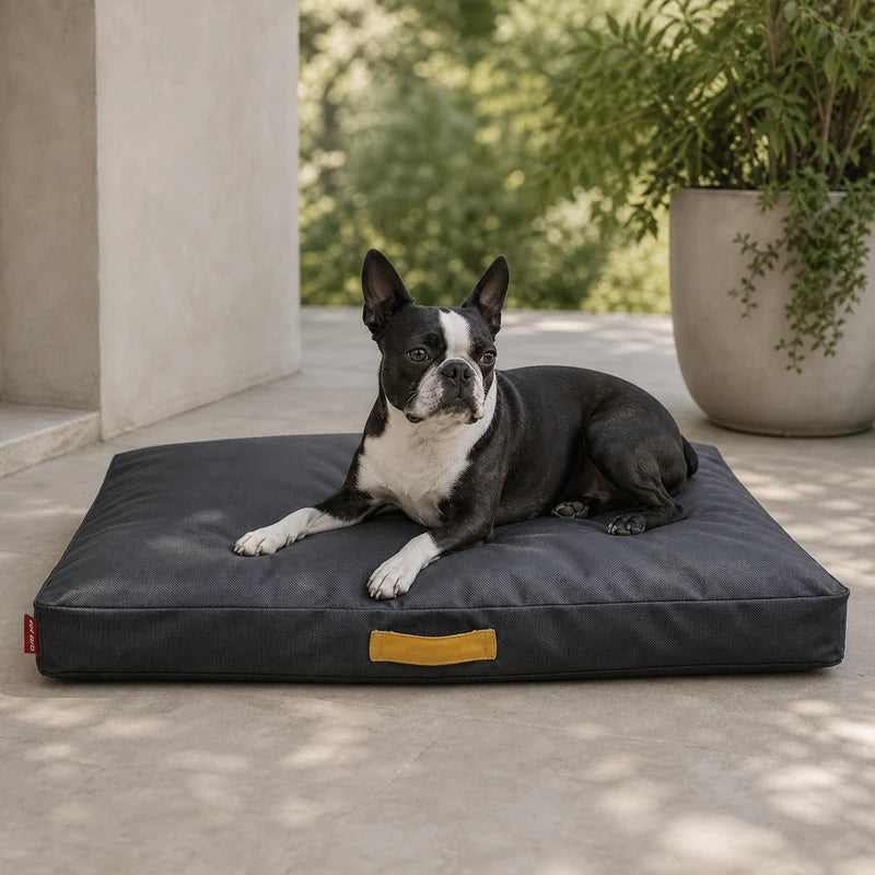 Boston Terrier endormi sur un tapis Oxford imperméable chien | KALMO