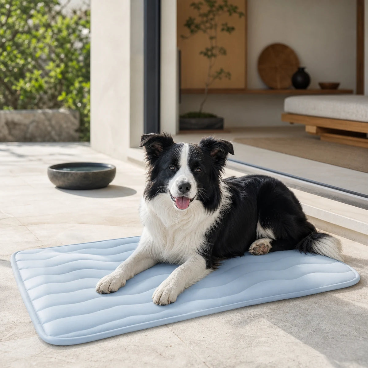 Border Collie couché sur un tapis rafraîchissant bleu pour chien | KALMO