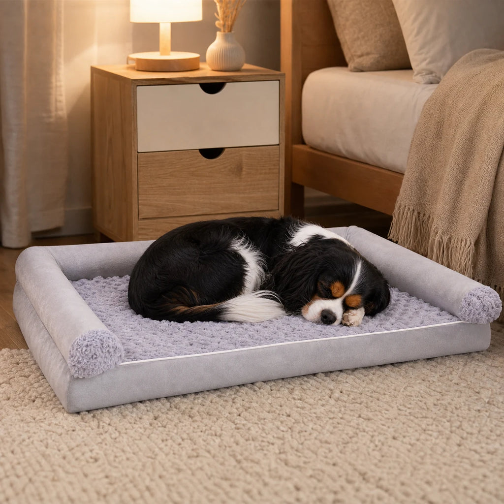 Cavalier King Charles dans un panier carré mousse gris clair | KALMO