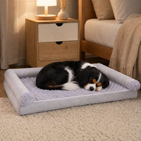 Cavalier King Charles installé dans le panier orthopédique chien gris clair