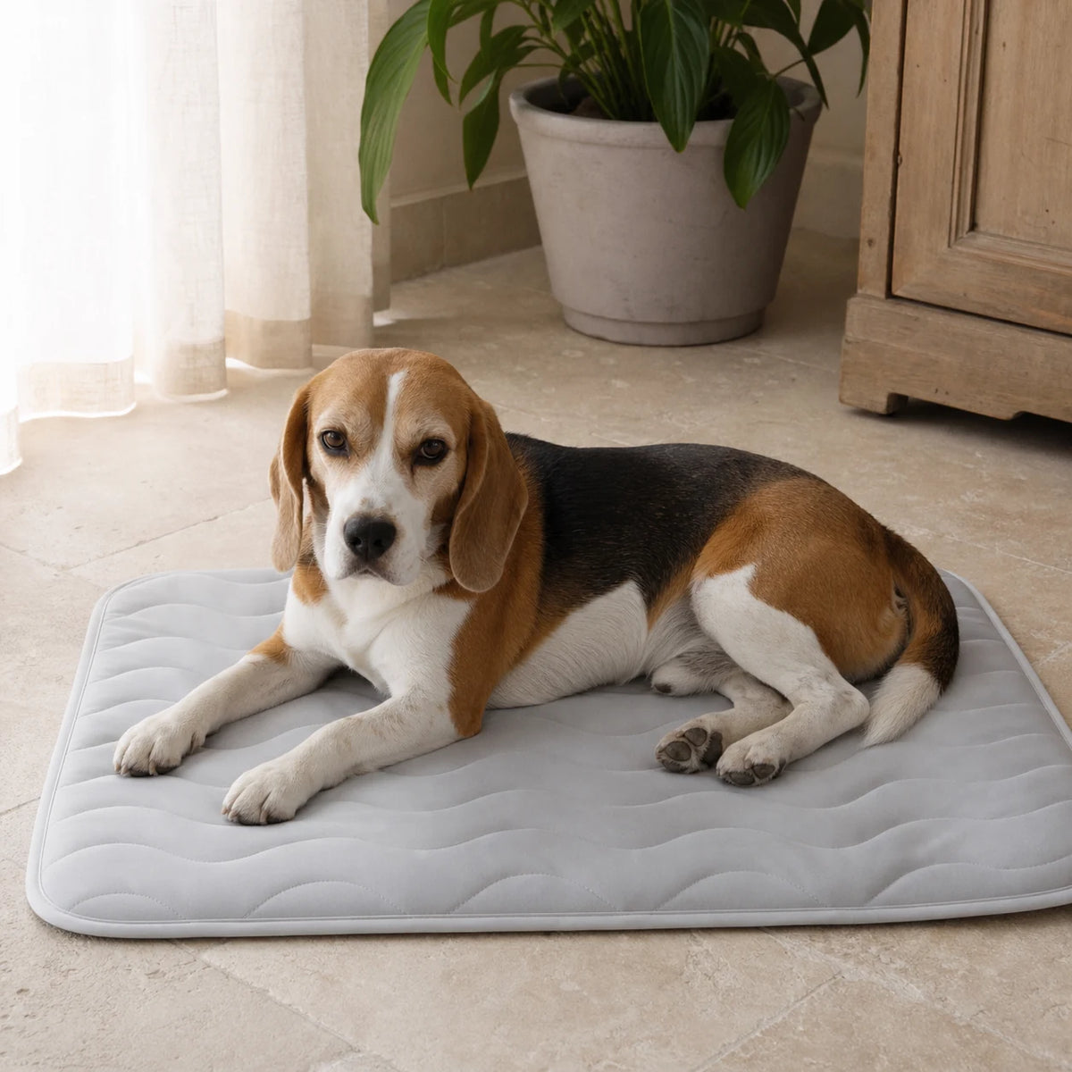 Beagle allongé sur un tapis rafraîchissant gris pour chien | KALMO