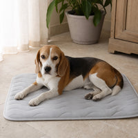 Beagle allongé sur un tapis rafraîchissant gris pour chien | KALMO