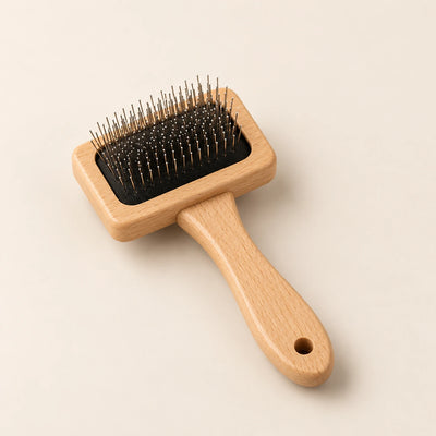 Brosse carde en bois de hêtre naturel pour chien - taille Petit KALMO