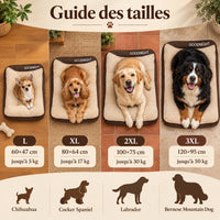 Guide des tailles du lit orthopédique pour chien brun foncé GOODNIGHT avec Chihuahua, Cocker, Labrador et Bouvier bernois