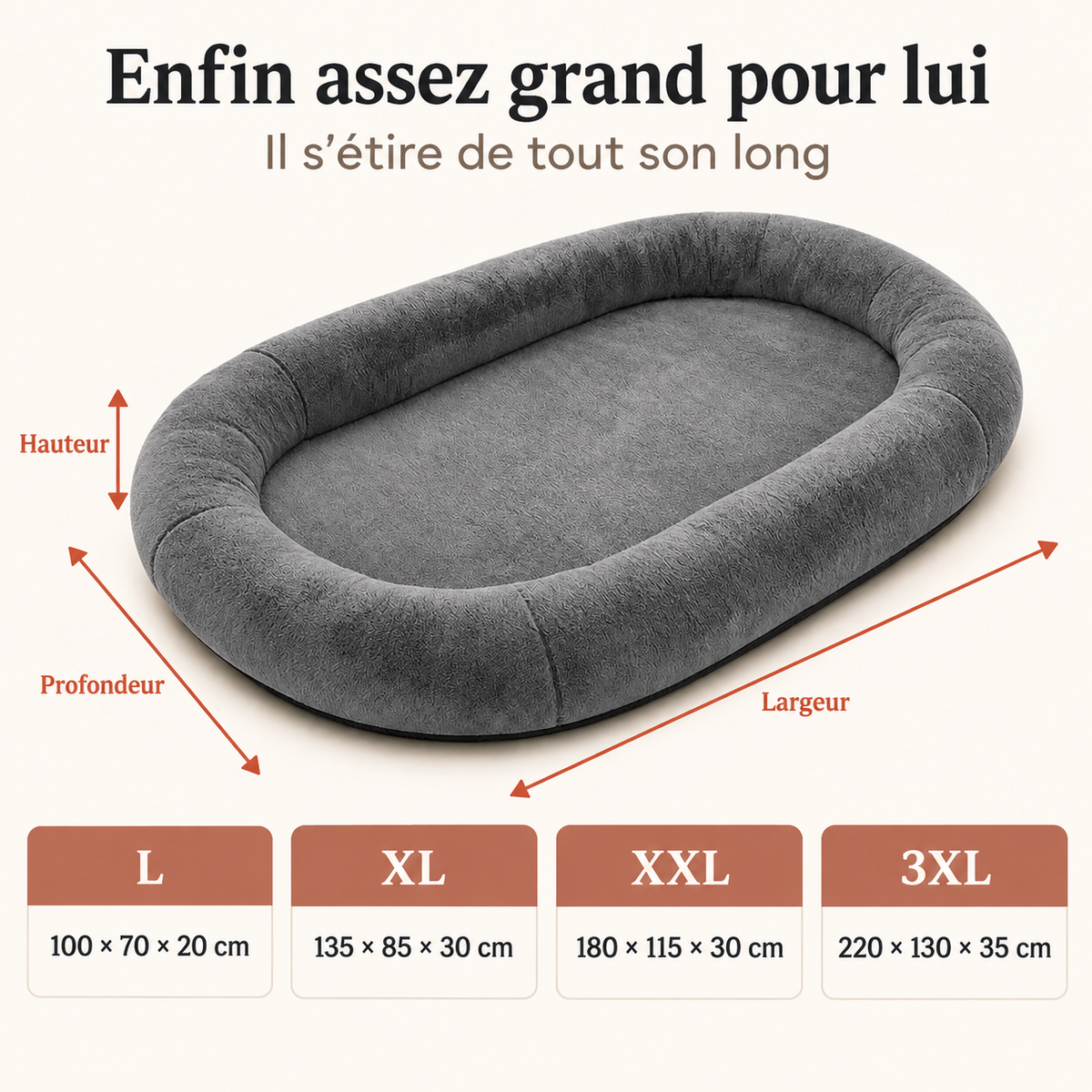 Guide des dimensions du panier XXL pour grand chien